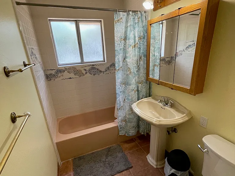 Shared hallway bathroom.