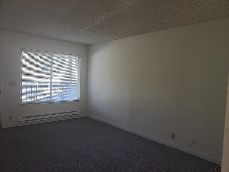 956 Paula St — Photo 7