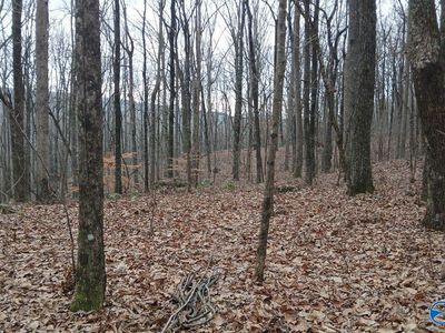 Black Hawk Rd, Gurley, AL, 35748