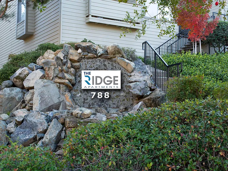 788 Mikkelsen Dr — Photo 11