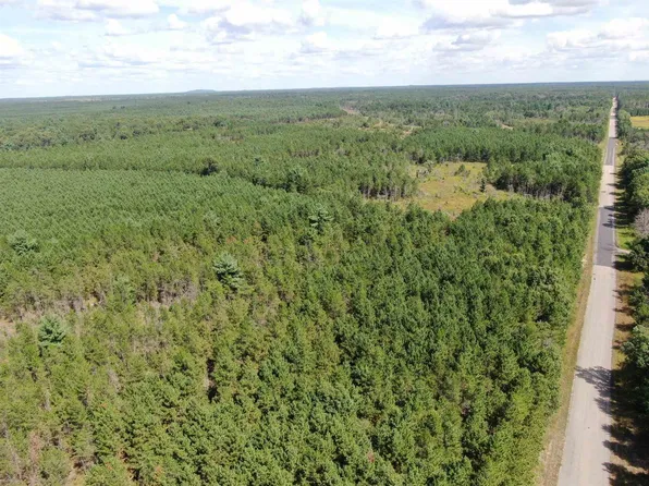 40 AC Browndeer Dr E Acres, Arkdale, WI 54613