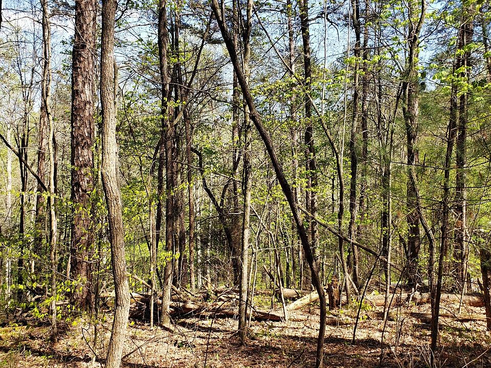 2nd image of Oakwood Trl
