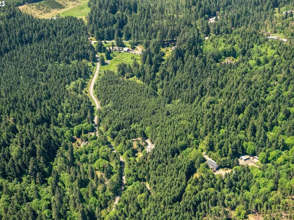 Paradise Dr, Junction City, OR 97448