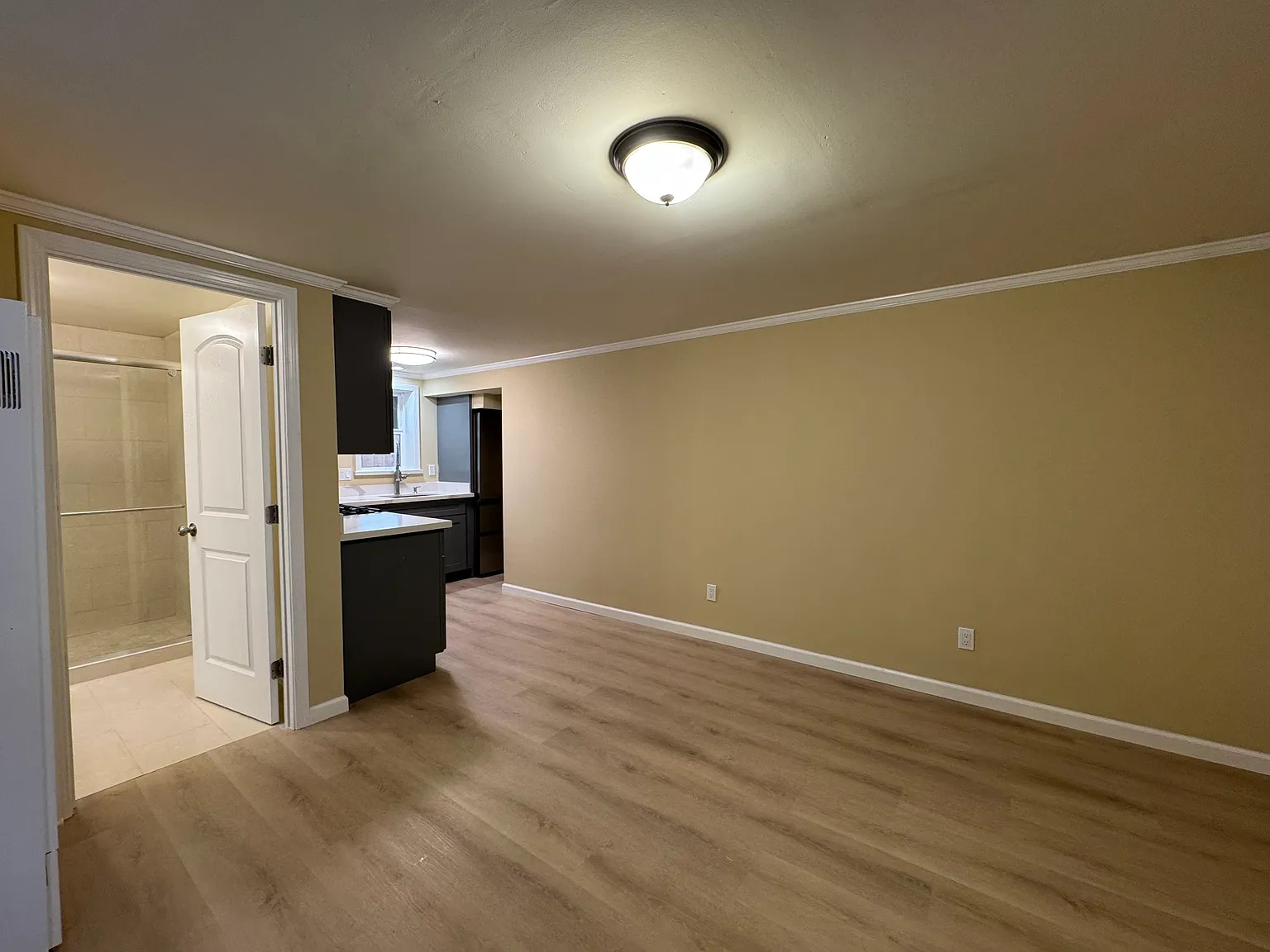1 bed, 600 sqft, $2,500 — Photo 3