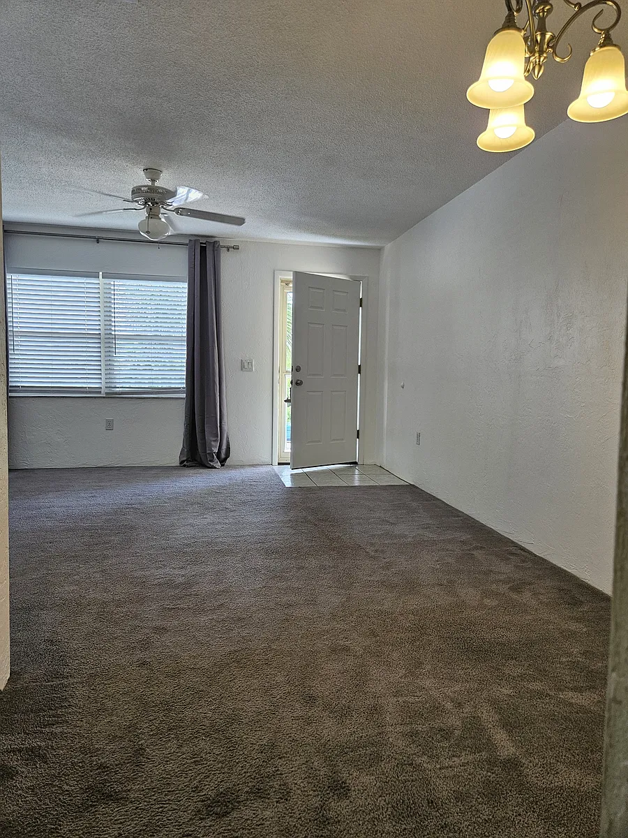 Entry/Living Room - 112 7th St S #9