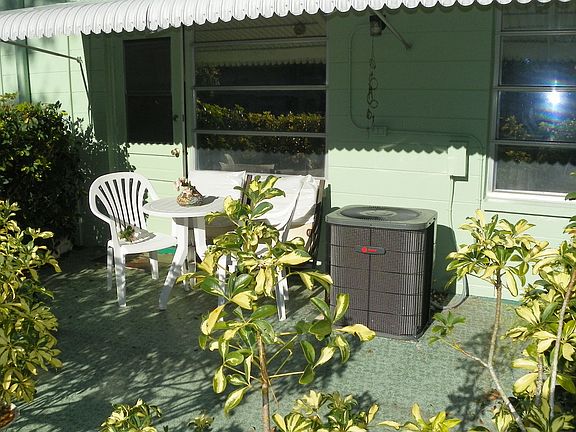 Old patio with shrubs