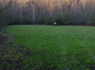 Rooster Town Rd, Cosby, TN 37722