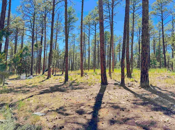 Arapaho Dr, Timberon, NM 88350