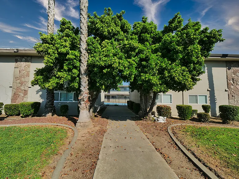 Orange Grove — Photo 18