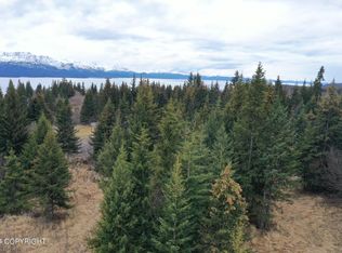 32831 Puzzlz Cir, Homer, AK 99603