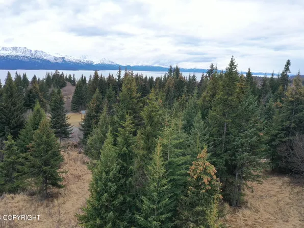 32831 Puzzlz Cir, Homer, AK 99603