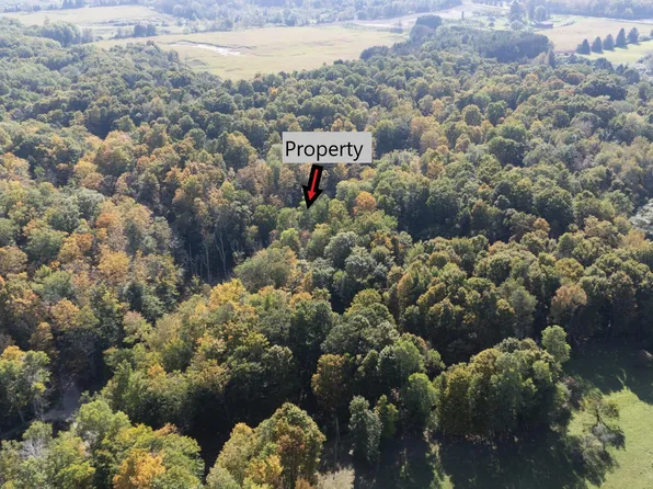 Vl Meyer Rd, Ludington, MI 49431