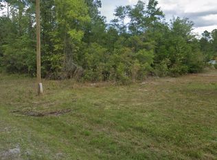 0 Roebuck St, Georgetown, FL 32139