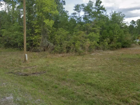 000 Roebuck Street, Georgetown, FL 32139