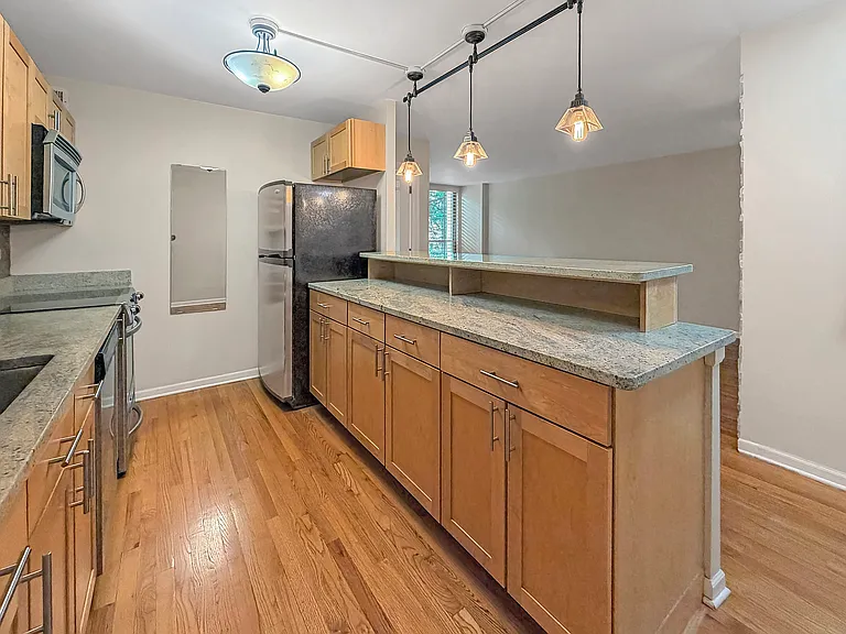 222 E Pearson St #404 — Photo 4