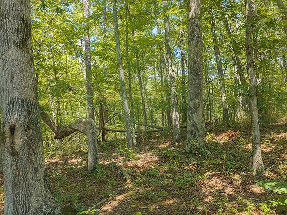 5th image of LOT 205&6 Harris Ridge Dr
