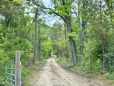 Townline Rd, Lewiston, MI, 49756