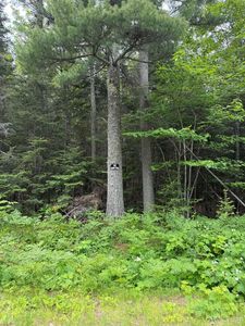 LOT 44 S Eliza Creek Rd, Mohawk, MI, 49950