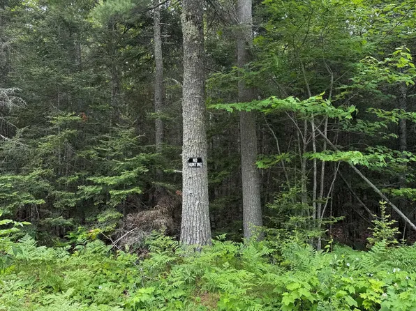 LOT 27 N Eliza Creek Dr, Mohawk, MI 49950