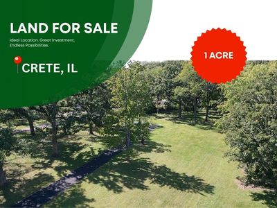 23810 S Ashland Ave, Crete, IL, 60417