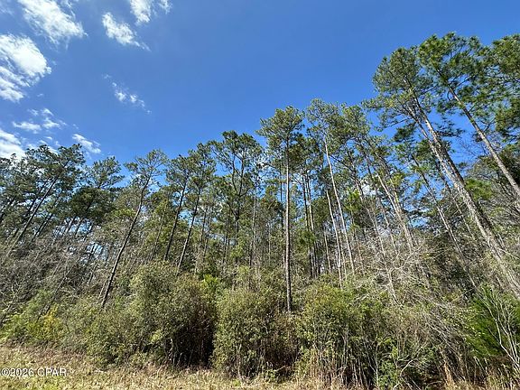 3rd image of TRACT 6409 Davis Rd