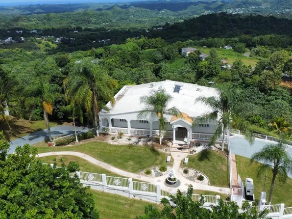 State Highway 618 Km #4.5, Morovis, PR 00687