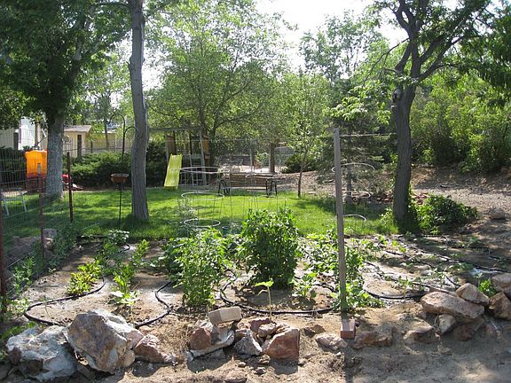 Back yard Garden area 