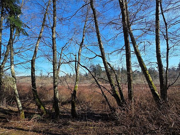 2nd image of 5707 Woodard Avenue