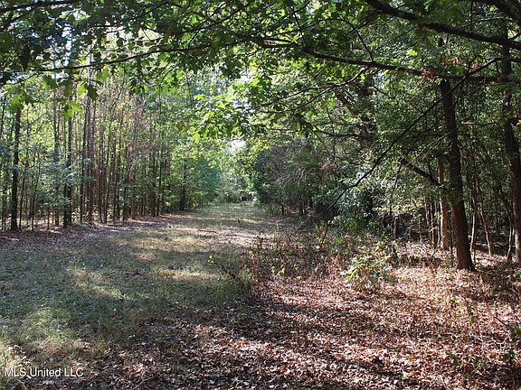 5th image of 7 Star Landing Rd
