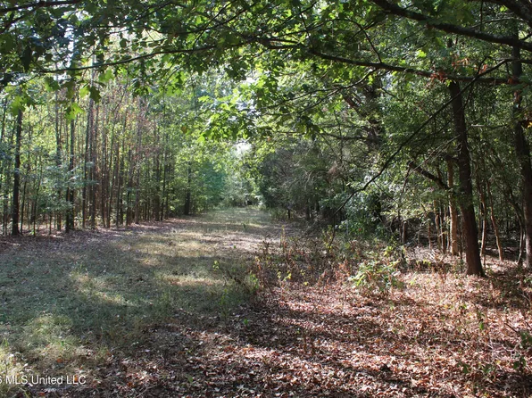 16 Tulane Rd, Nesbit, MS 38651