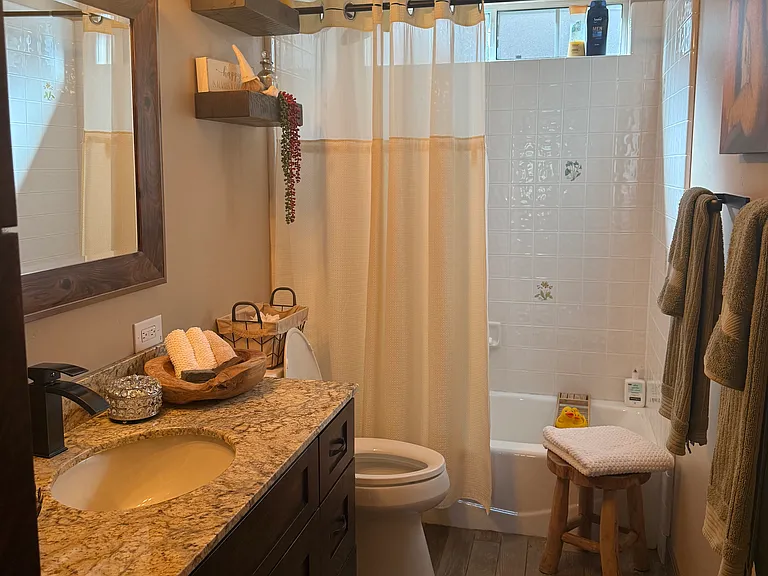 Guest bathroom