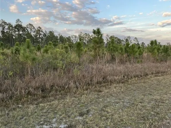 1002 Gardenia Dr, Lake Wales, FL 33855