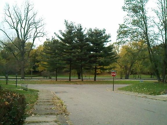 View from Front Porch