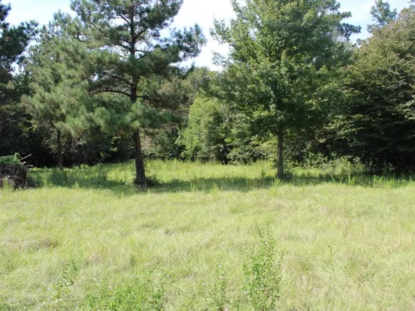 Lots 24 & 25 Cypress Hls, Jasper, TX 75951