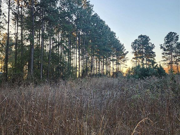 5th image of 143 County Road 5003