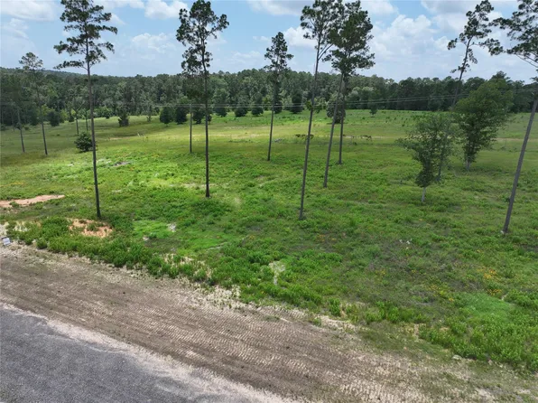0 Addison Rd, Livingston, TX 77351