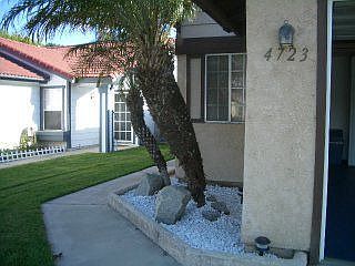 Manicured Front Lawn