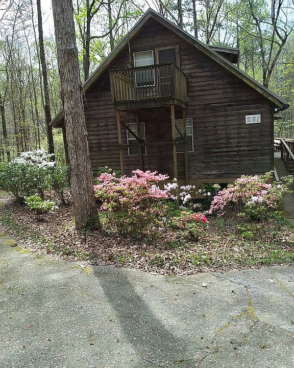 Spring Flowers are in Bloom!