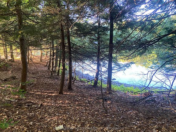3rd image of 1001 White Lake Rd