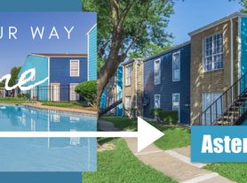 Aster on Aldine