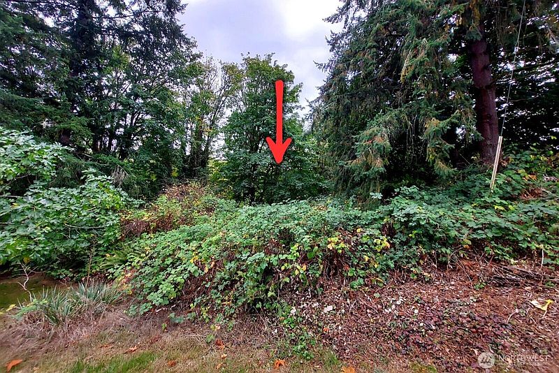 3rd image of 0 Lot C Melcher St