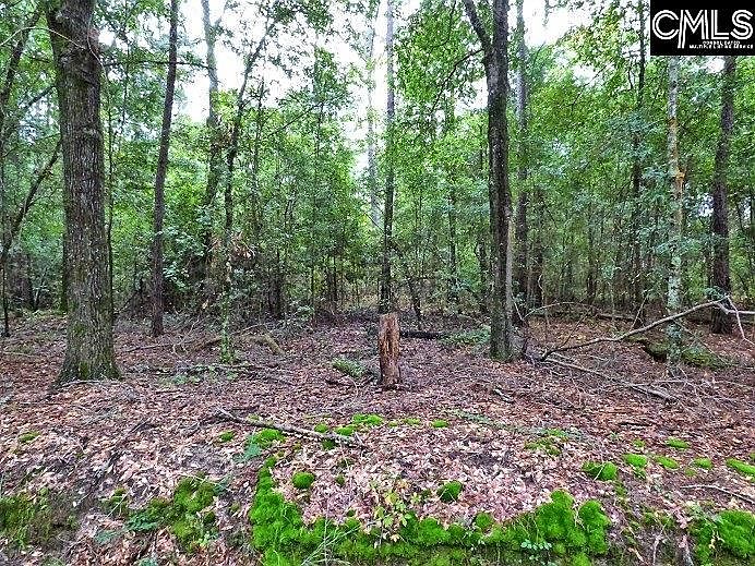 2nd image of 417 Swift Creek Rd
