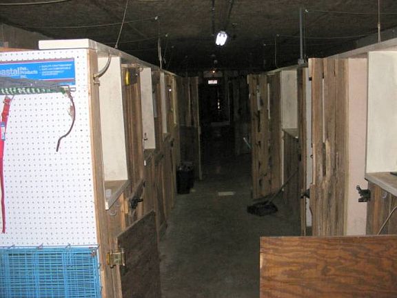 Kennels