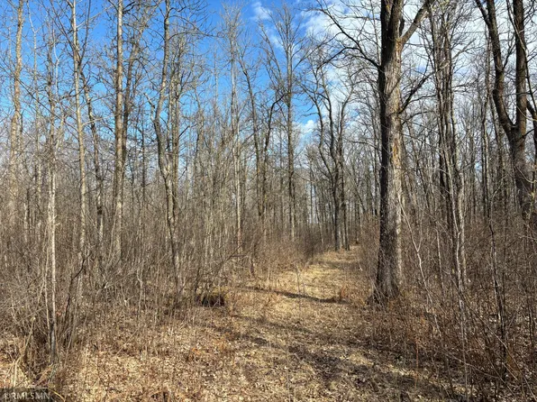 55133 Great River Rd, Palisade, MN 56469