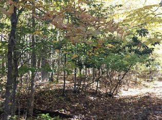 152 Maxine Ln, Buckhannon, WV 26201