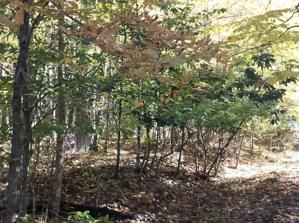 152 Maxine Ln, Buckhannon, WV 26201