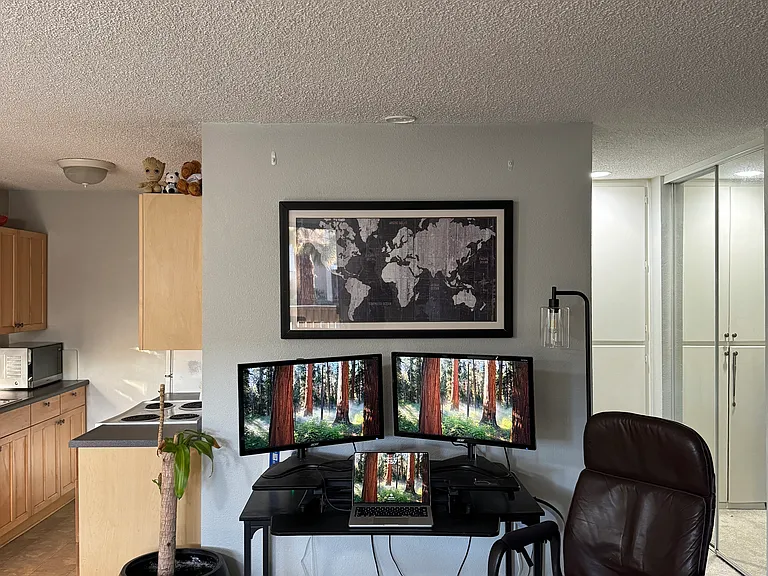 1801 Diamond St #3-217 — Photo 10
