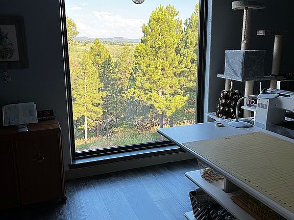 7 ft window facing west