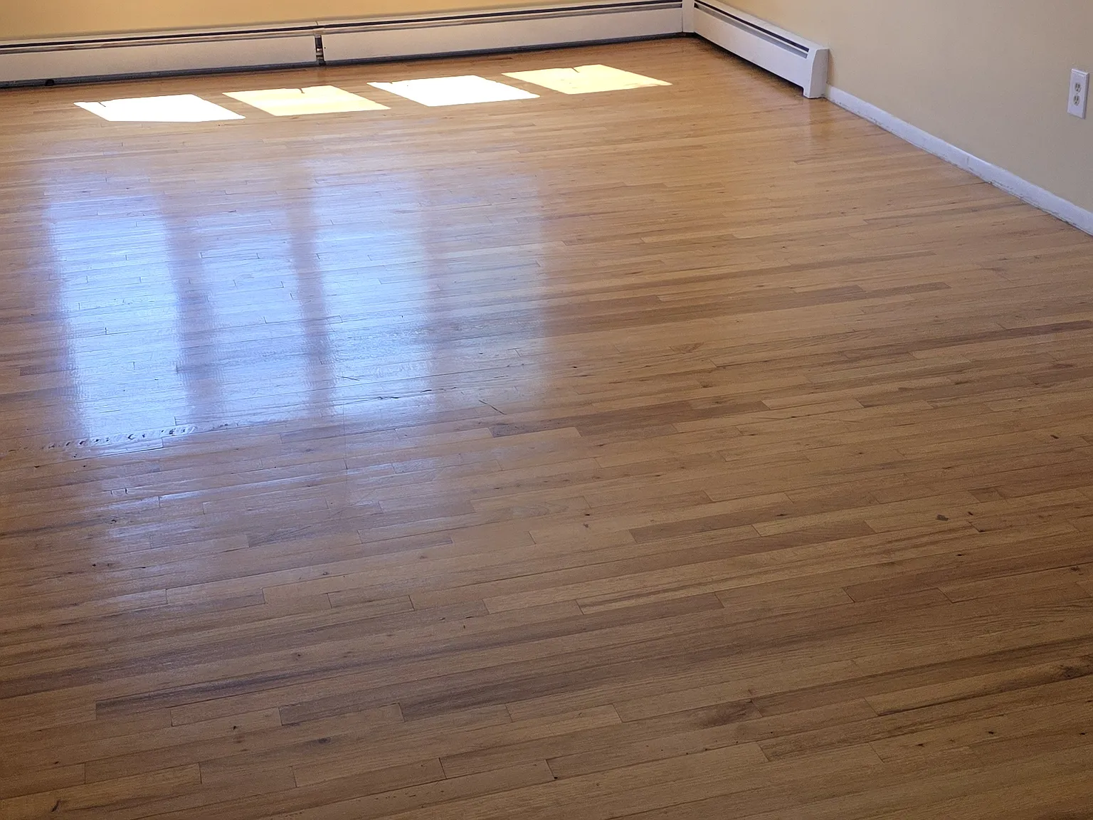 Jensen Ave, Fords — Photo 1