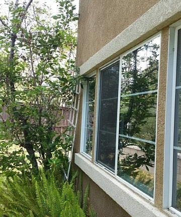5th image of 39656 Columbia Union Dr Unit B